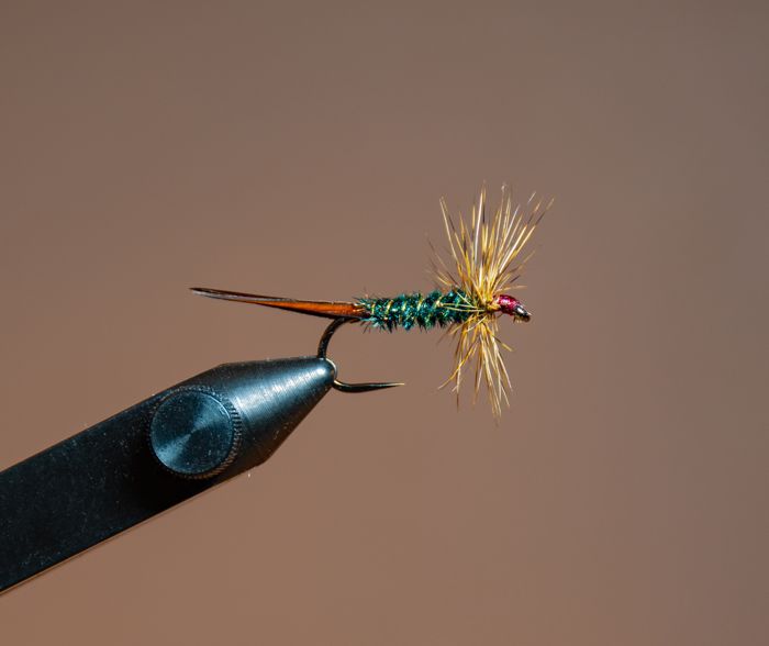 Close-up of a hand-tied fishing fly held in a vise