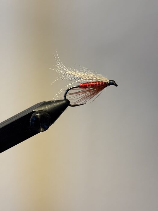 Close-up of a red and white hand-tied fishing fly clamped in a tying vise, viewed from the side