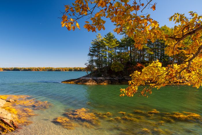 Fall foliage along the rocky shoreline at Wolfe's Neck